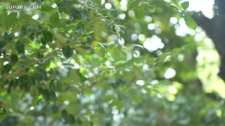 JRZE-291 初次拍摄人妻纪录 吉水瞳