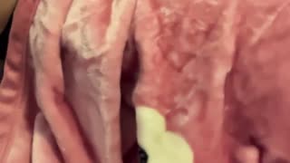 【母子相奸】趁爸爸不在家，强行内射我的老妈！