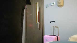 翻车探花～约了个19岁的兼职妹玩到一半又收到查房短信
