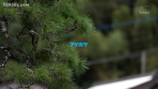 【无码流出】IPX-604 出差同房被讨厌的上司强干整夜欲仙欲死 相泽南XZN