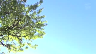 [中文字幕]全日本 Netorare 大奖得奖作品 舌吻吻 NTR 正经人妻向考试生告白勉强让吻 逐渐伸入舌头缠绕舌头揉胸摸生殖器...最终我的身体和头脑被完全勃起的大公鸡偷走了......这是一个像Non Kobana的故事