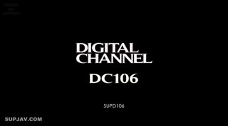 【无码流出】SUPD-106 數字頻道 DC106 石原麗奈 - 石原莉奈SYLN