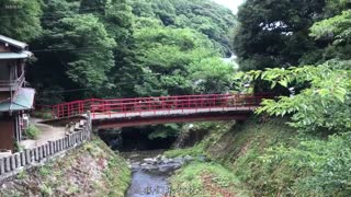 MIDV-709圆形训练营中出狂欢11P10人精液超过20发的绝品男子！！山森若菜，让男性俱乐部成员喝醉并索取精子的无与伦比的女孩-八森わか菜