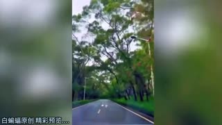 绿帽淫妻--真实山东白领绿帽夫妻找人换妻群P，让别人操自己老婆自己撸管 绿帽癖