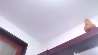 【夫妻交换】小县城公务员村委书记带老婆酒店交换操逼，人到中年就是玩得花