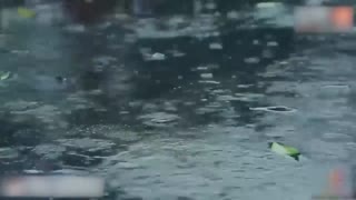 气质女神小江疏影多乙美女职员色诱老板吞屌上位前插后操娇喘呻吟！