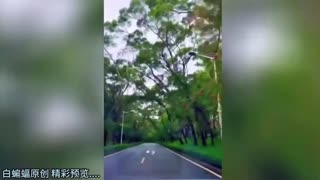 绿帽换妻群P-真实山东绿帽系列 让别人操自己的老婆自己在旁边打飞机