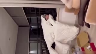 【推特网红】网红甜美反差婊御姐自慰裸聊福利