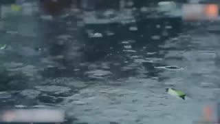 【激情肉欲】气质女神小江疏影多乙美女职员色诱老板